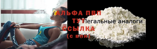 ECSTASY Магас