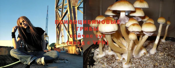 Альфа ПВП Липки