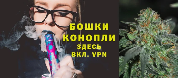 ECSTASY Магас