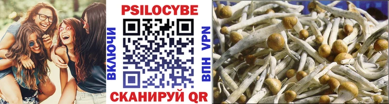 Псилоцибиновые грибы ЛСД  Купить  Фурманов 