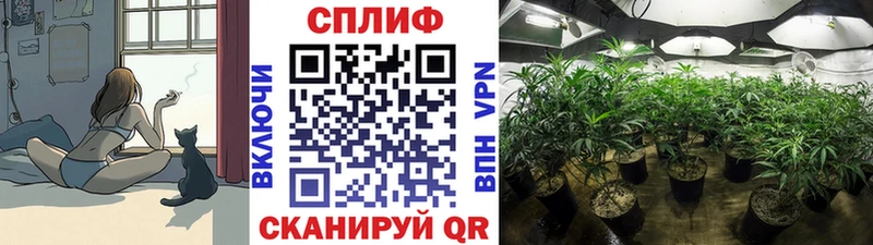 Купить где  Фурманов  Канабис MAZAR 